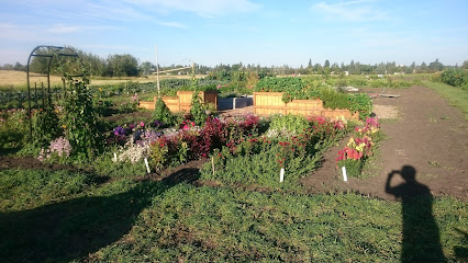 Green and Gold Community Garden