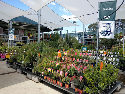 Bunnings Belconnen