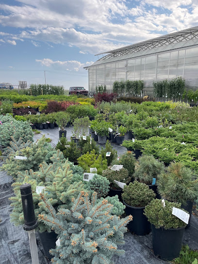 Garden Scents Garden Center Ltd