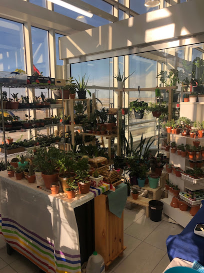 My Little Greenhouse
