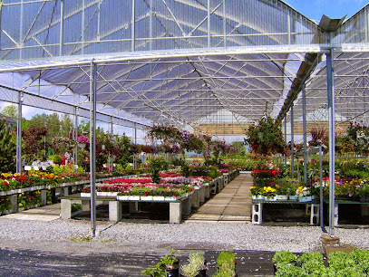Jardinerie Pépinière Moraldo et fils inc. St-Augustin
