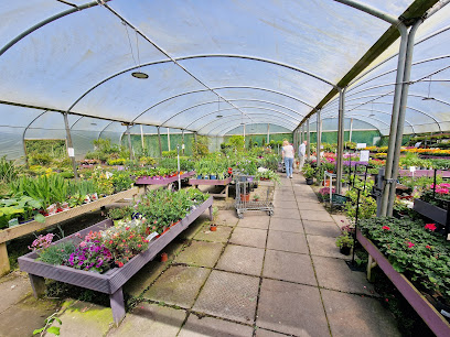 Busy Bee Garden Centre & Tea Rooms