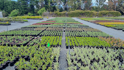Westland Nurseries