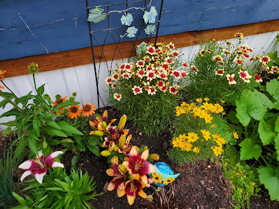 Outdoor Garden Centre at The Home Depot