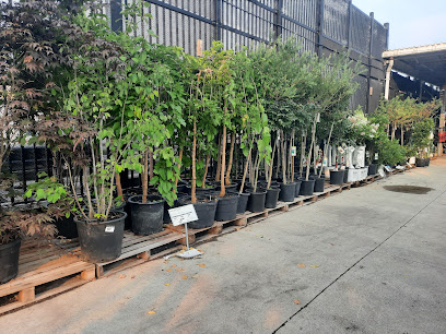 Outdoor Garden Centre at The Home Depot