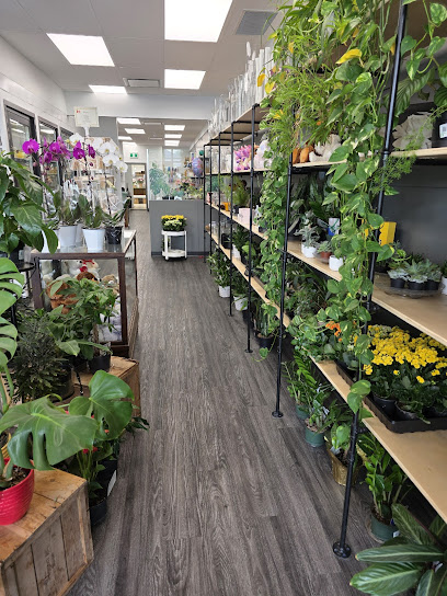 Cal's Grower Direct