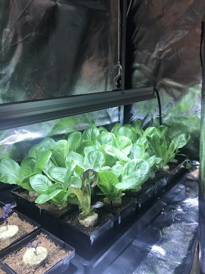 GrowPro Hydroponic