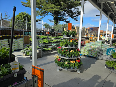 Bunnings Tauranga