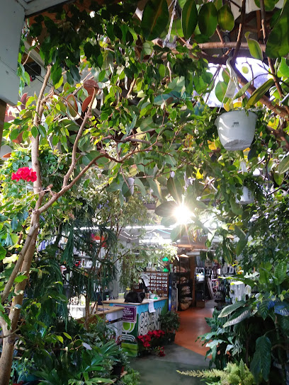 All Seasons Garden Centre Ltd