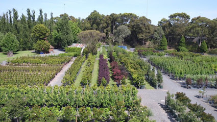Kilby Park Tree Farm