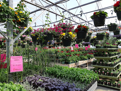 Visser Farms & Greenhouses