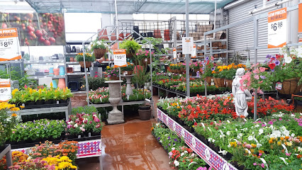 Mitre 10 MEGA Tauranga