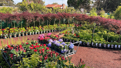 Rockbank Nursery (Online)