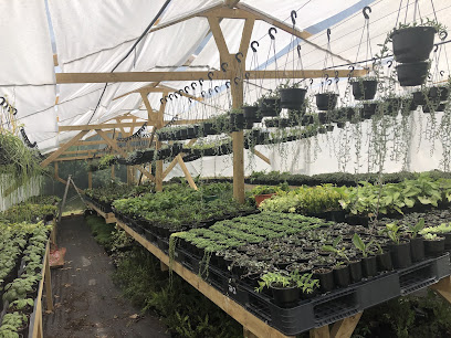 Bay Botanics