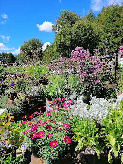 Daltons Landscape Supplies, Mount Maunganui