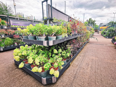 B&Q Garden Centre