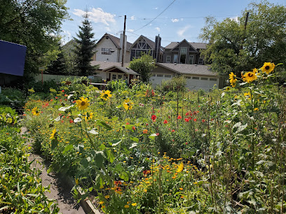 Hillhurst Sunnyside Community Garden