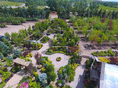 Countryside Tree Farms & Landscaping