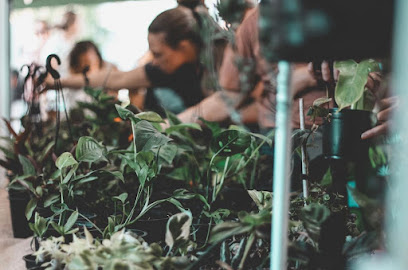 Plant Fest