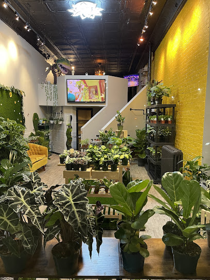 Soil & Soul Calgary