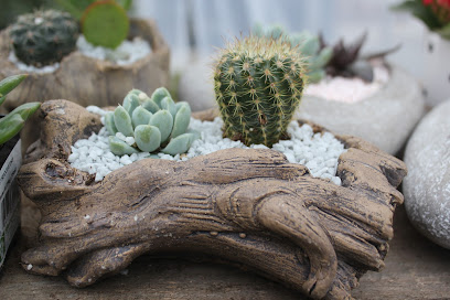 Country Gardens & Nursery