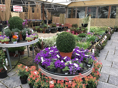 Beech Vista M50 Garden & Paving Centre