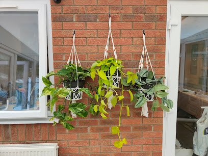 Bristol Plant Man (Online)