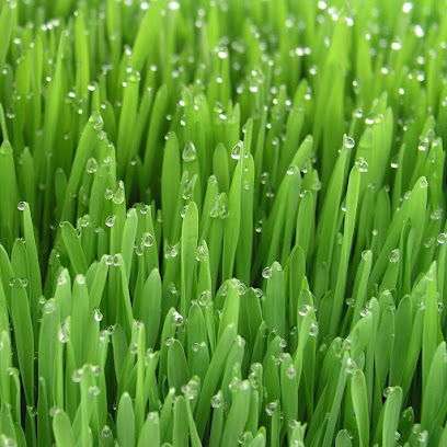 Greens Horticulture