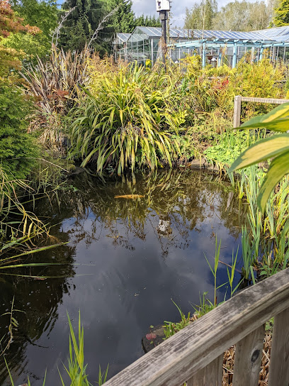 Dore Moor Garden Centre
