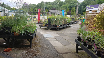 Daisy Nook Garden Centre