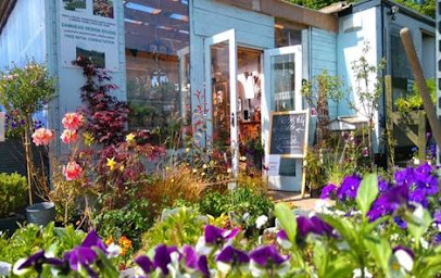 Damhead Nursery + Edinburgh cut flowers