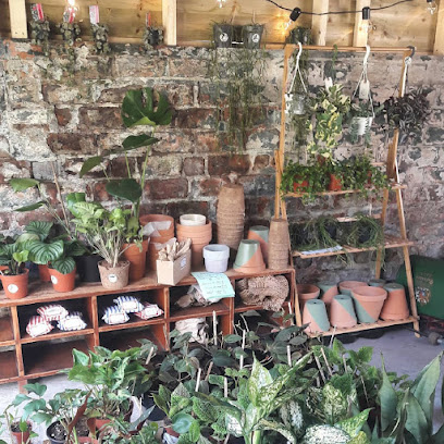 Fox Botanics