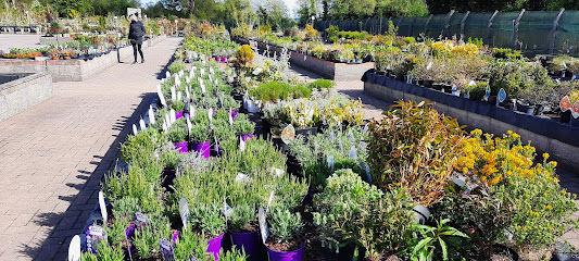McGills Garden and Patio Centre