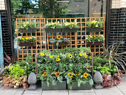 The Nunhead Gardener - Elephant Park
