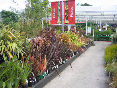 Kings Plant Barn St Lukes