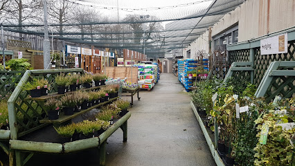 Woodie's Wellpark