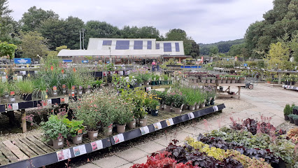 Riverside Garden Centre