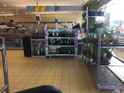 ALDI