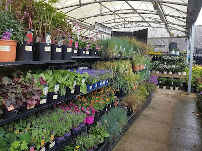 Garden Centre by Homebase (inside The Range) - Sheffield Drakehouse