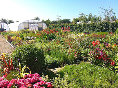 Ahern Nurseries & Plant Centre Ltd