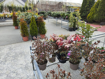 Ballinlough Garden Centre