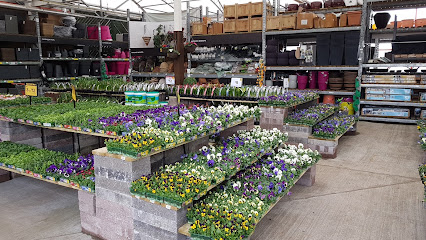 B&Q Glasgow - Parkhead