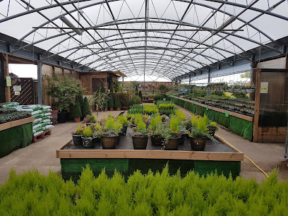 Kiwi Nurseries