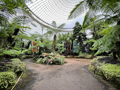 Glasgow Botanic Gardens