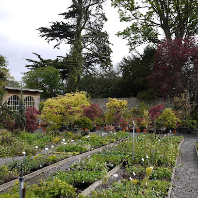 Mount Venus Nursery