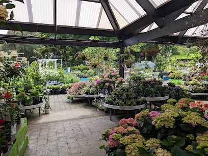 Palmers Remuera