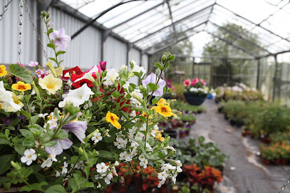 Dooleys Garden Centre