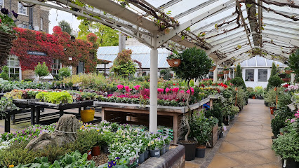Clifton Nurseries