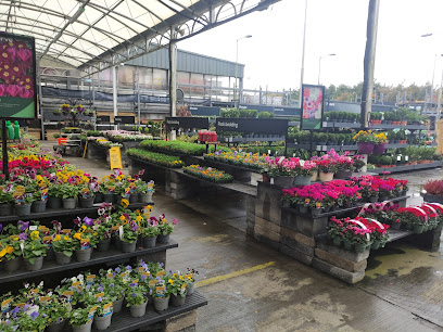 B&Q Galway