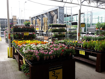 B&Q Limerick